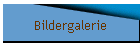 Bildergalerie