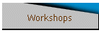 Workshops